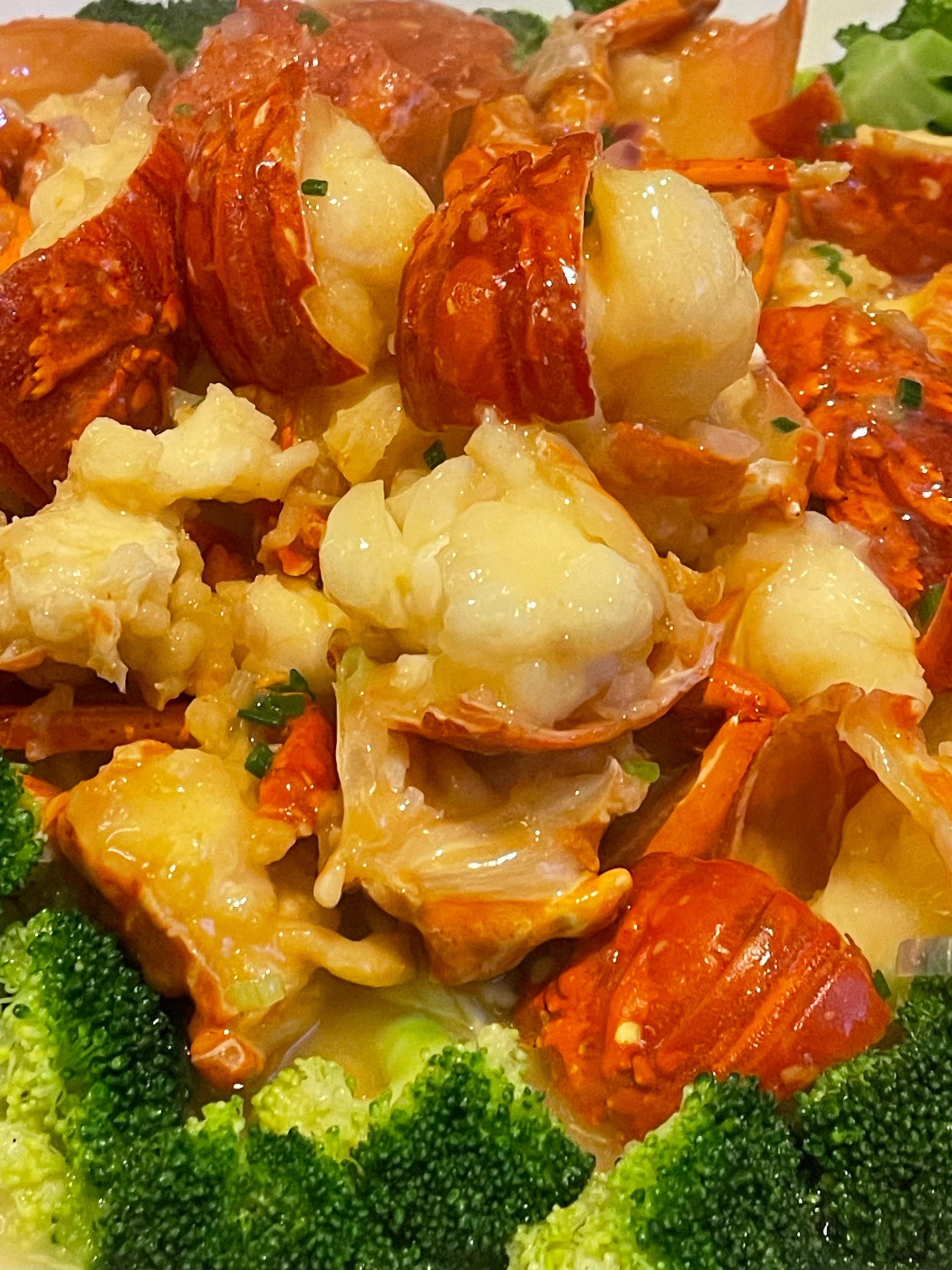 澳客(澳客彩票网官网竞彩足球)